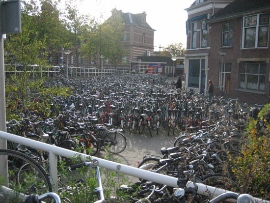 Delft bikes