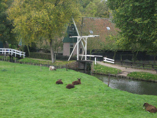 Enkhuizen ZZM pasture