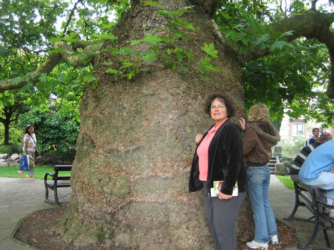 Lon0806 canterbury becky at big tree